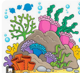 to move MCQ's- Coral Conservations