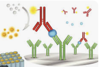Immunology & Mindray Immunoassay Systems